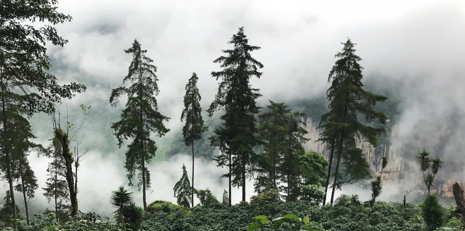 El Sendero