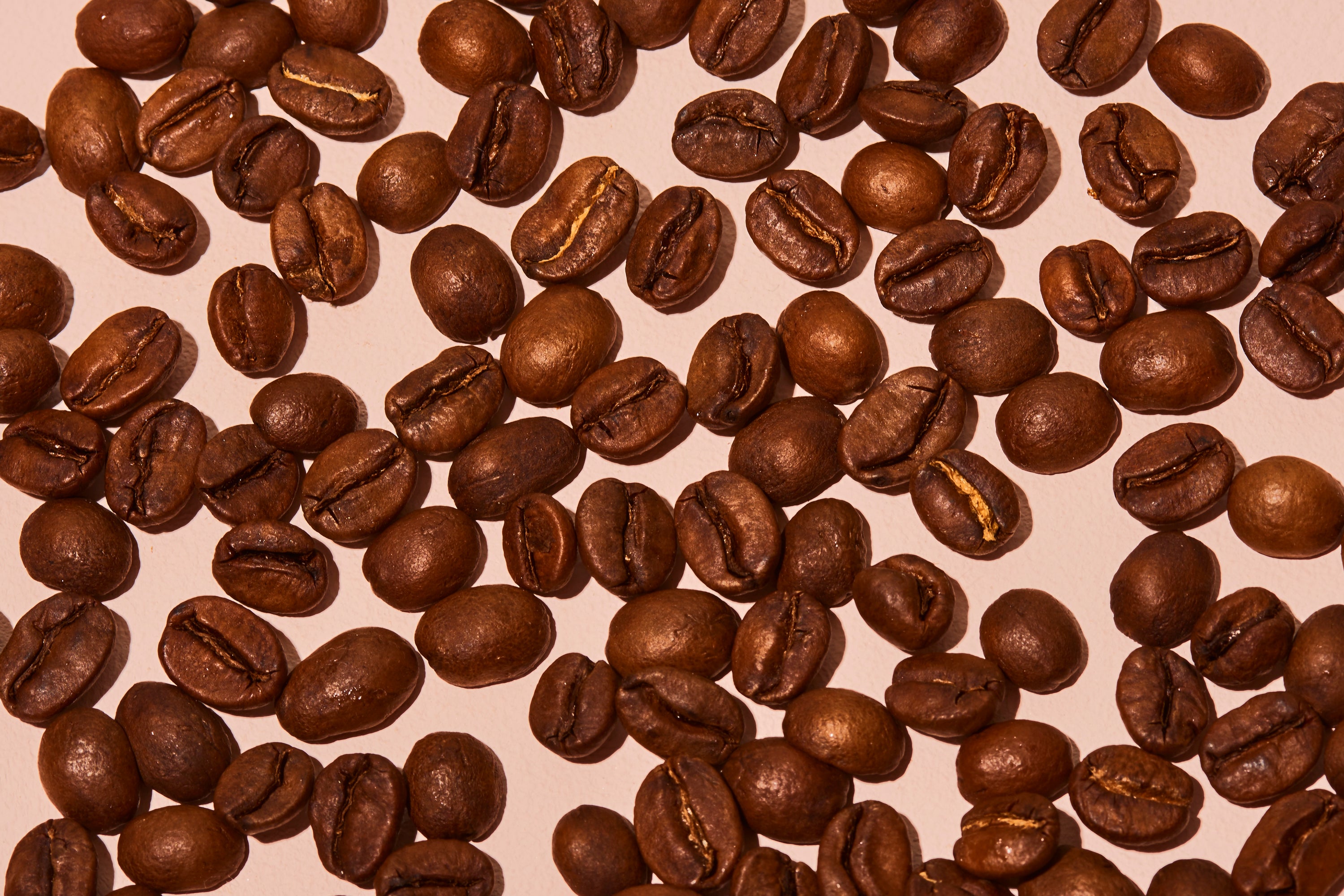 19Grams Coffee Beans