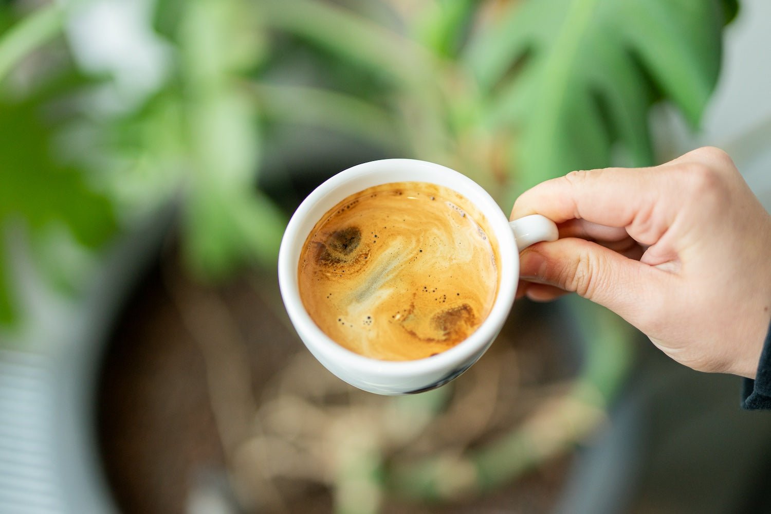 Kaffee Americano in der 19grams Tasse mit Pflanze im Hintergrund