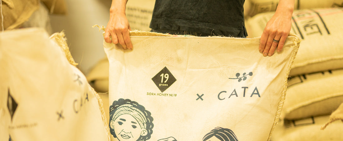 Cata Export