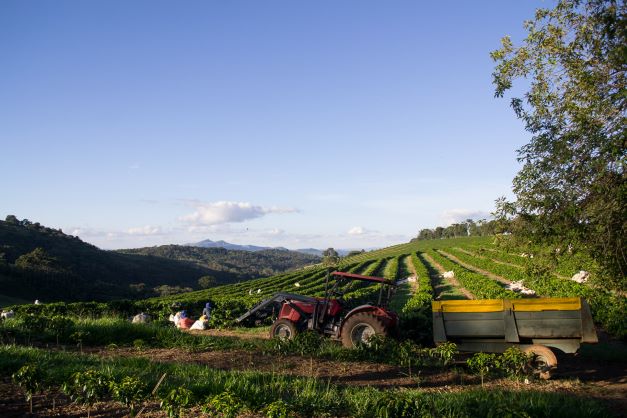 19grams coffee partner Fazenda Santuario Sol in Brazil