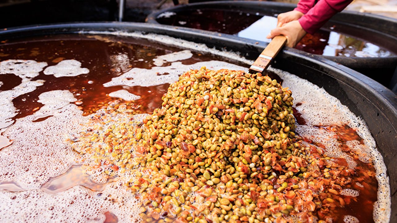 Fermentation bei Kaffee – Prozess, Wirkung & Geschmack