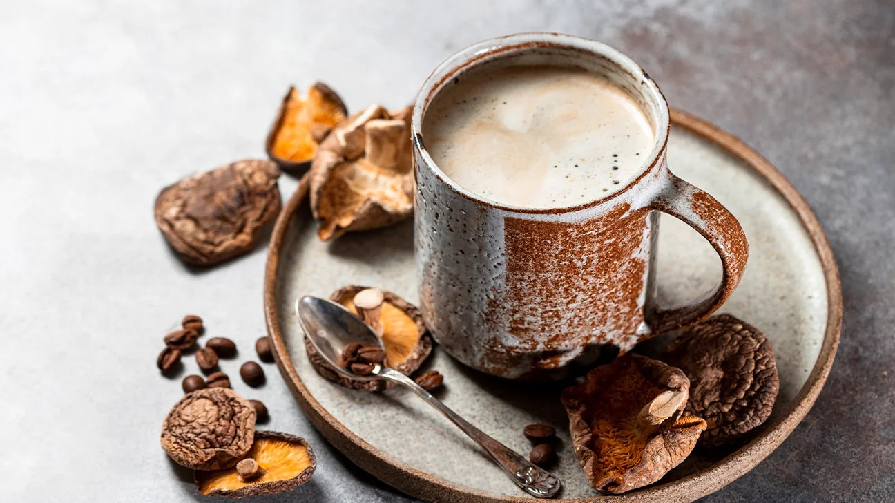 Kaffeekick mal anders: Der Mushroom Kaffee