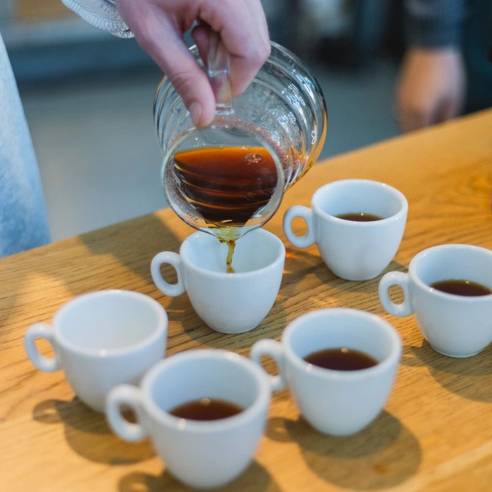 19grams Filterkaffee Kurs