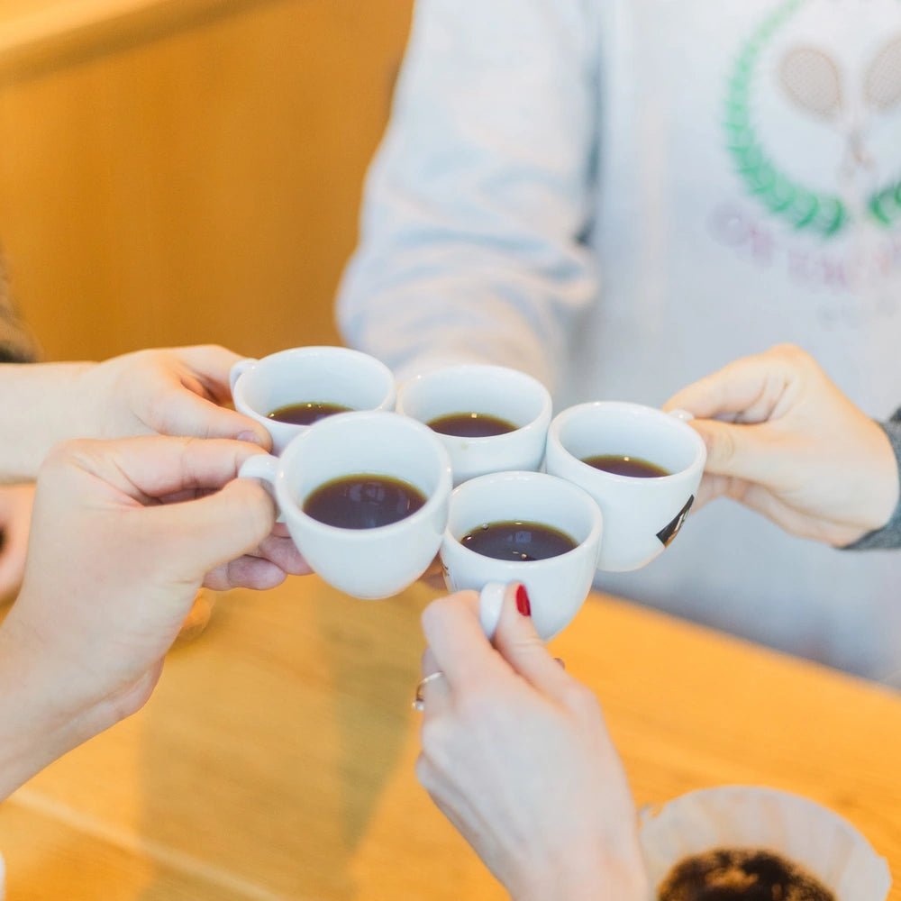 19grams Filterkaffee Kurs