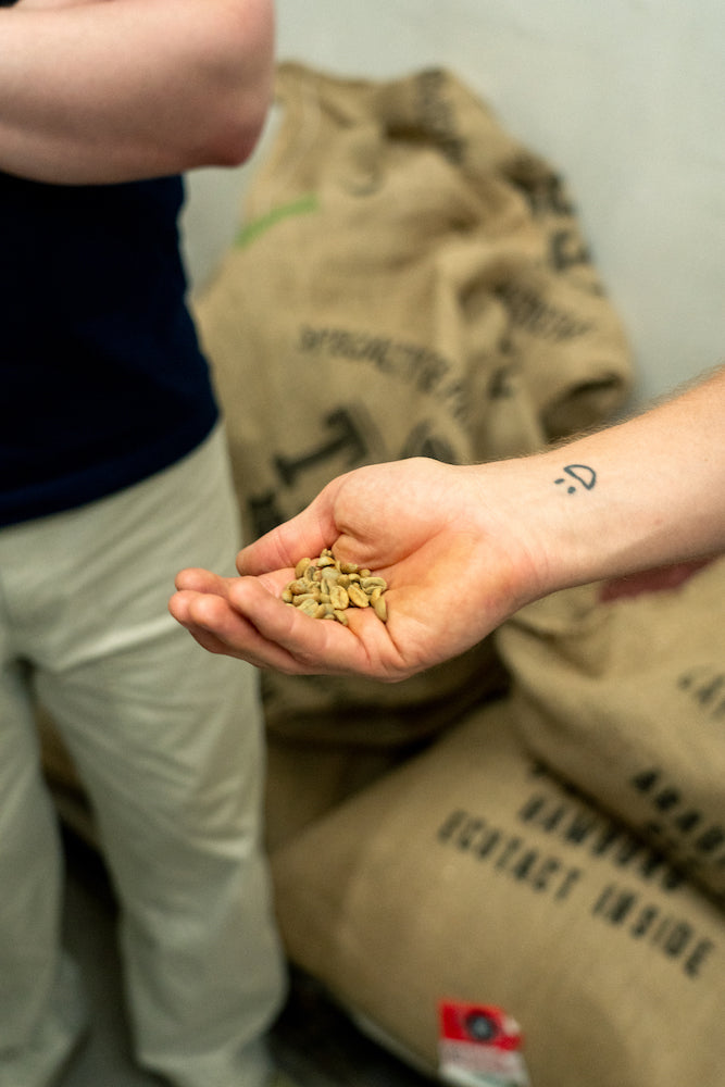 Rohkaffee in der Handpräsentiert