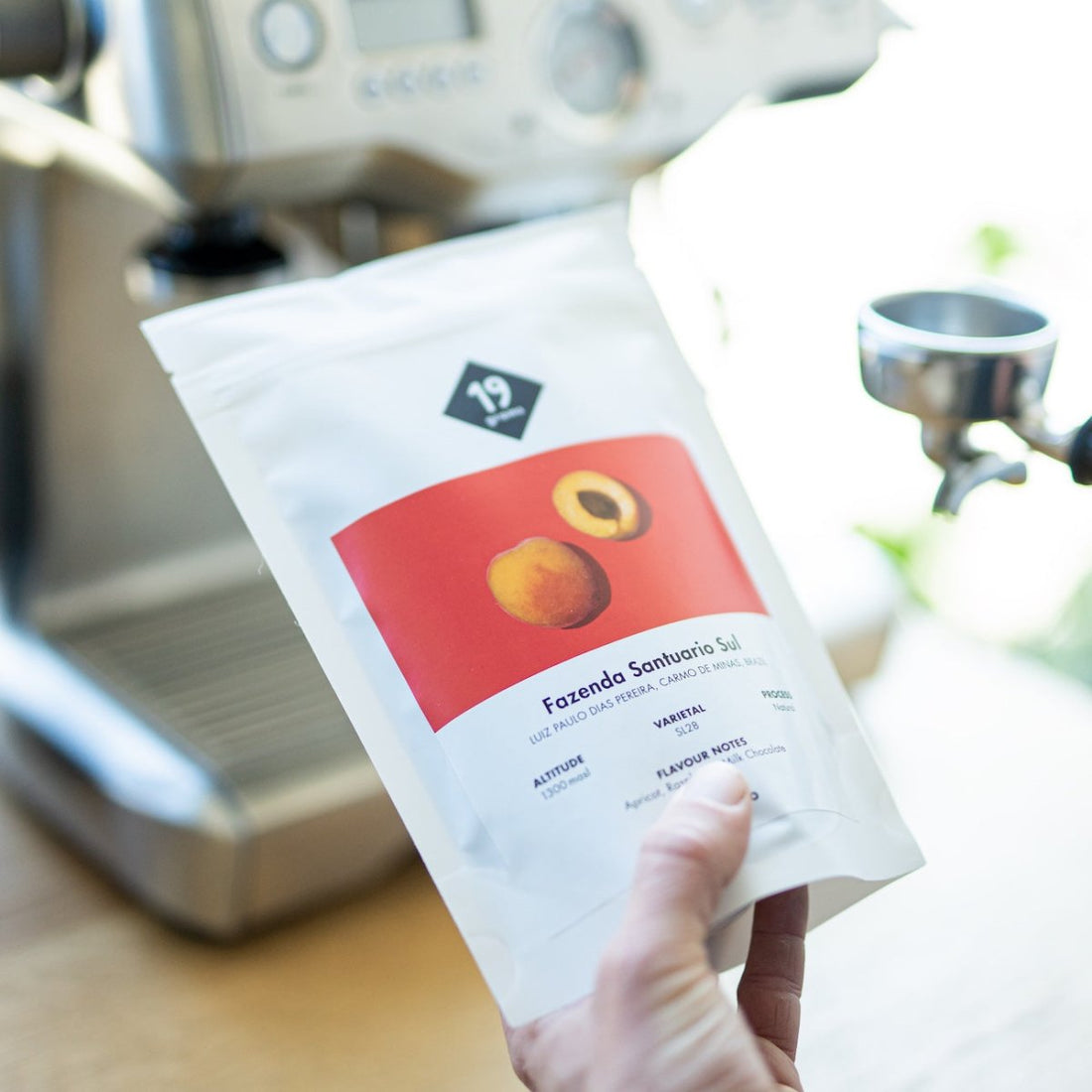 Fazenda Santuario Sul SL28 - Brasilien Espresso