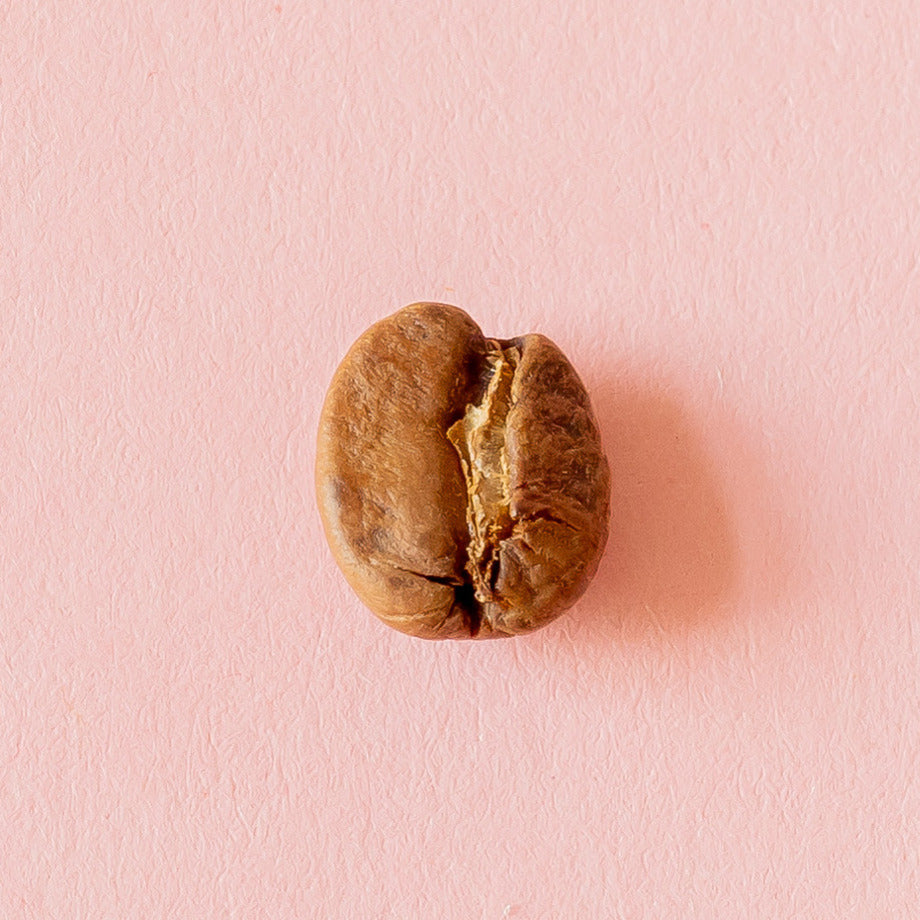 Kaffeebohne Nahaufnahme von der ersten Adventskalenderdose