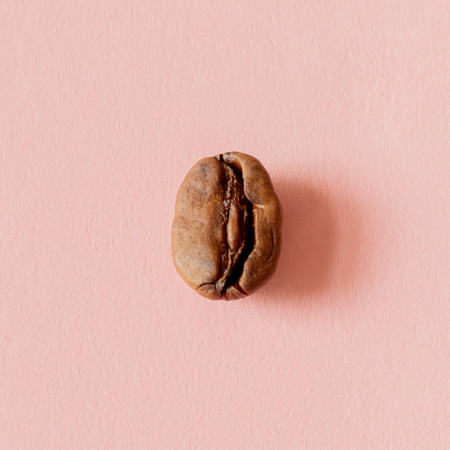 Kaffeebohne aus der Dose 9
