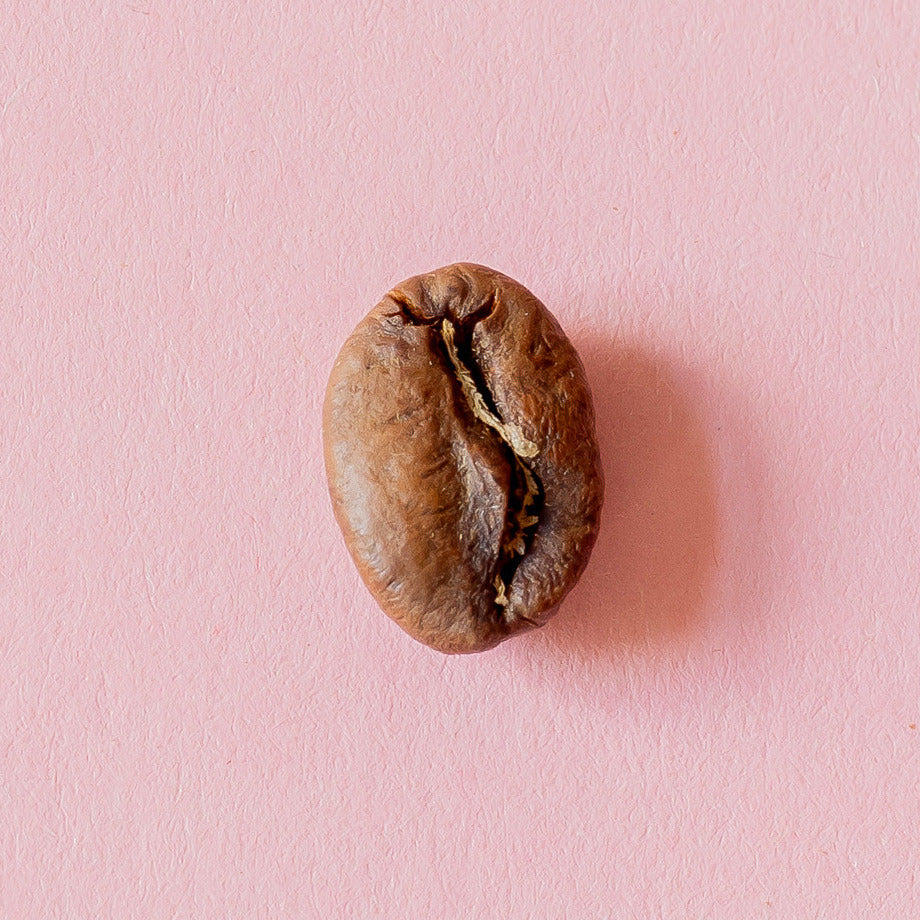 Kaffeebohne aus der Dose 13