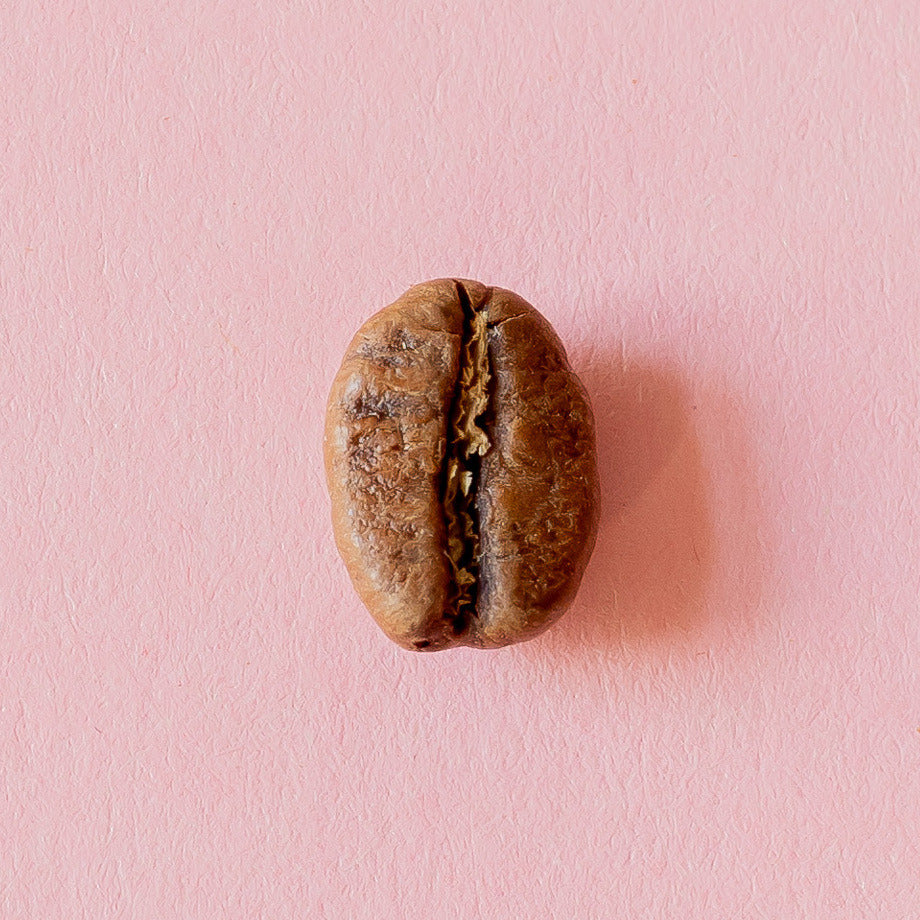 Kaffeebohne aus der Dose 14