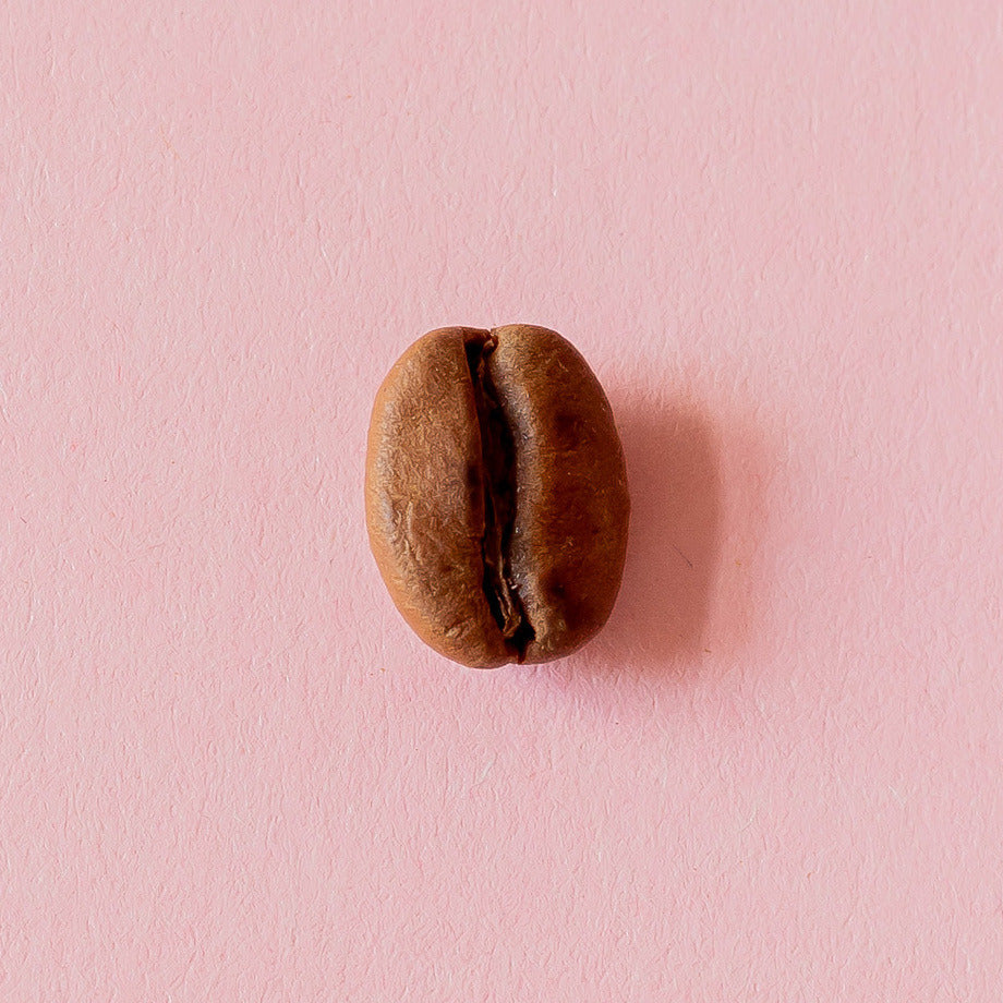 Kaffeebohne aus der Dose 17