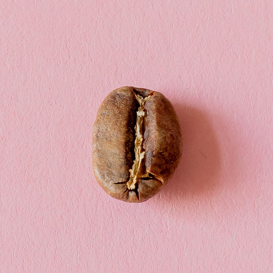 Kaffeebohne aus der Dose 18
