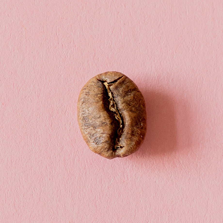 Kaffeebohne aus der Dose 19