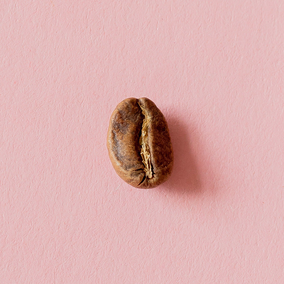 Kaffeebohne aus der Dose 20
