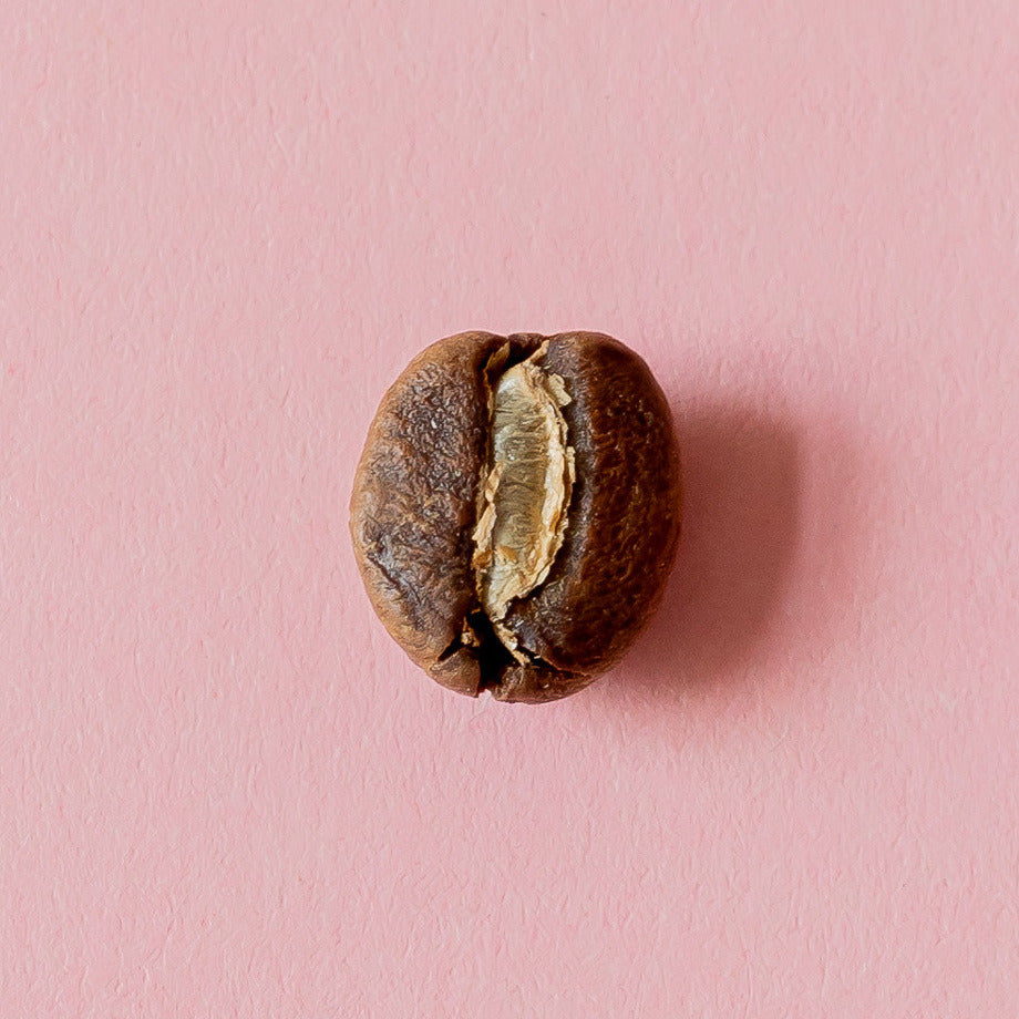 Kaffeebohne aus der Dose 21