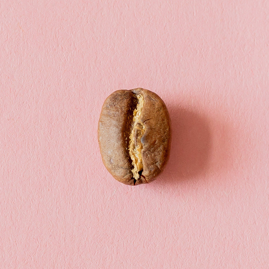 Kaffeebohne aus der Dose 22