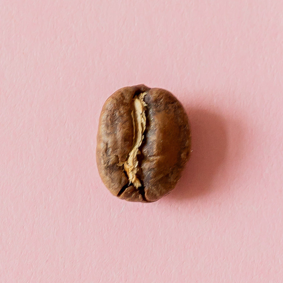 Kaffeebohne aus der Dose 23