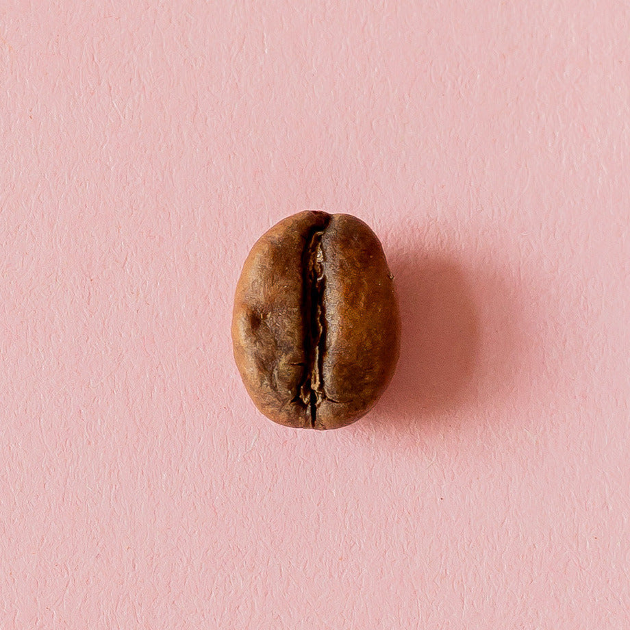 Kaffeebohne aus der Dose 24