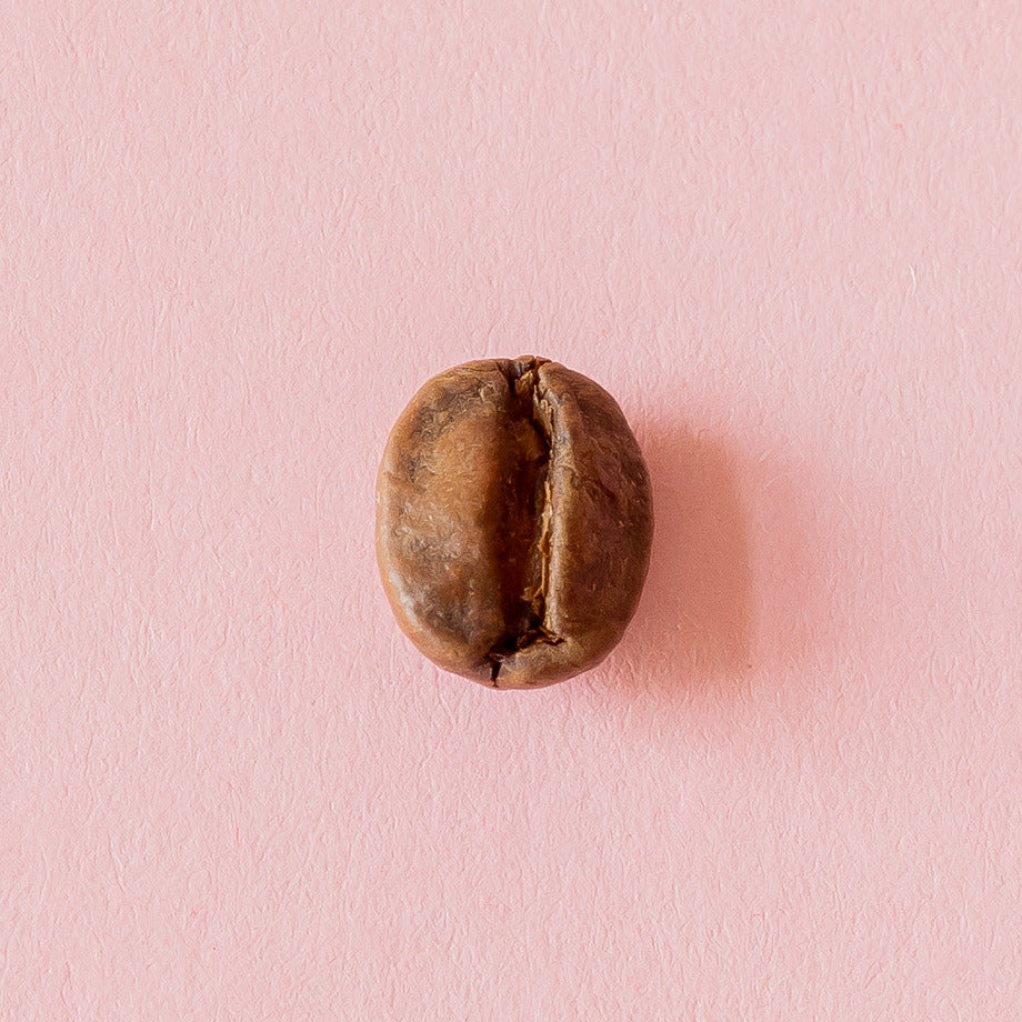 Kaffeebohne aus der Dose 4