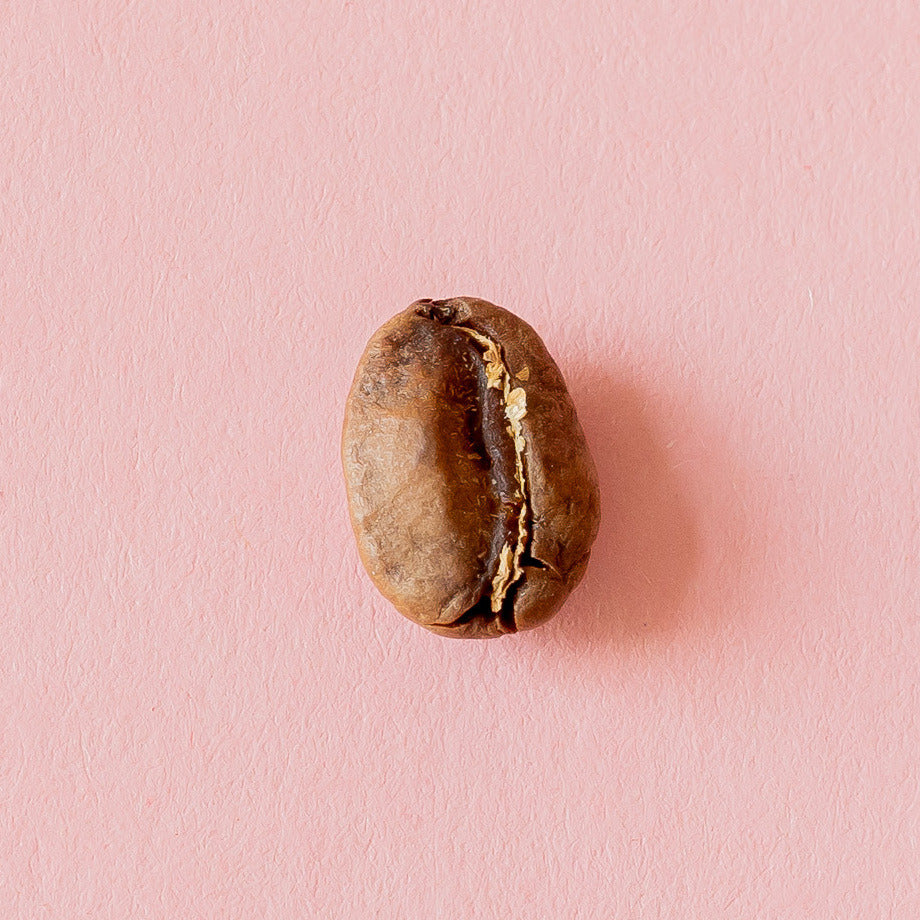 Kaffeebohne aus der Dose 5