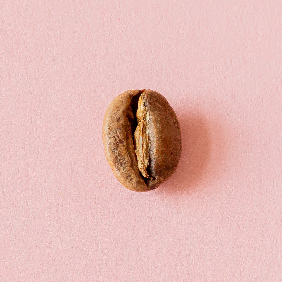 Kaffeebohne aus der Dose 6
