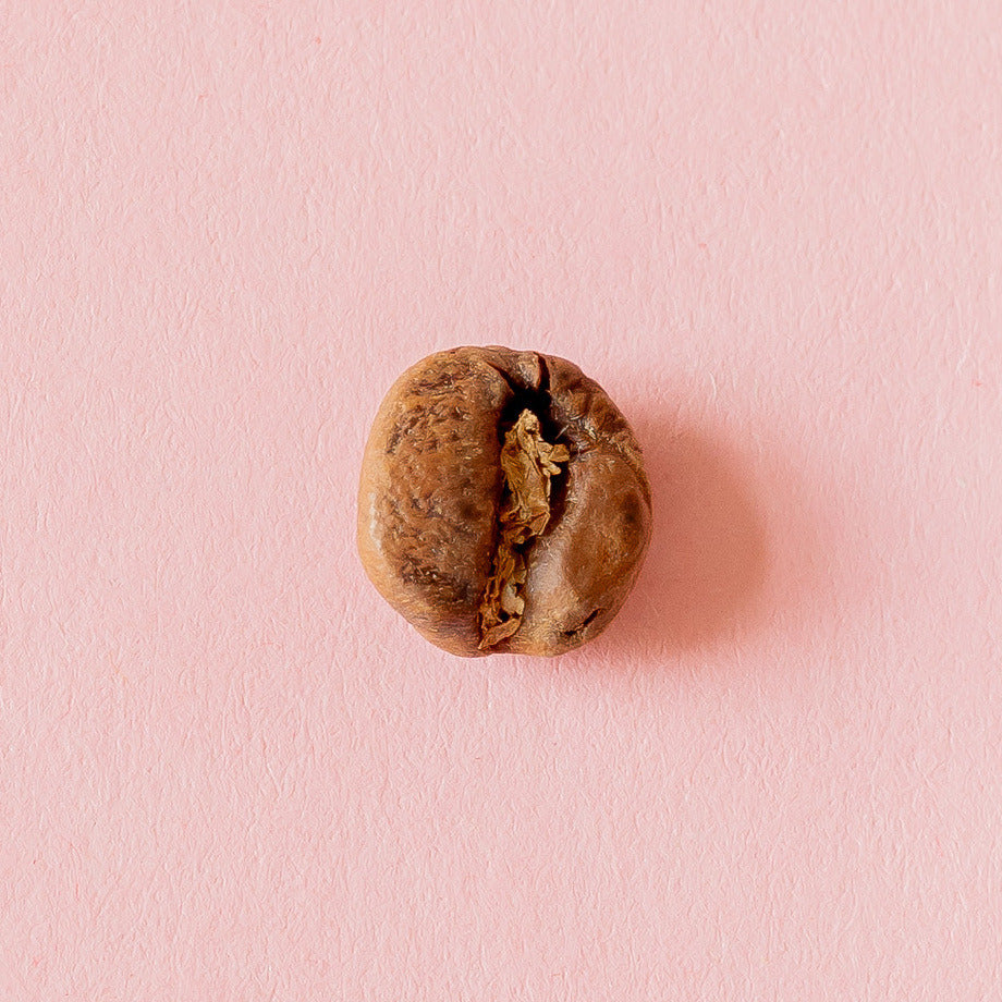 Kaffeebohne aus der Dose 7