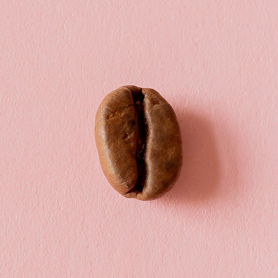 Kaffeebohne aus der Dose 8