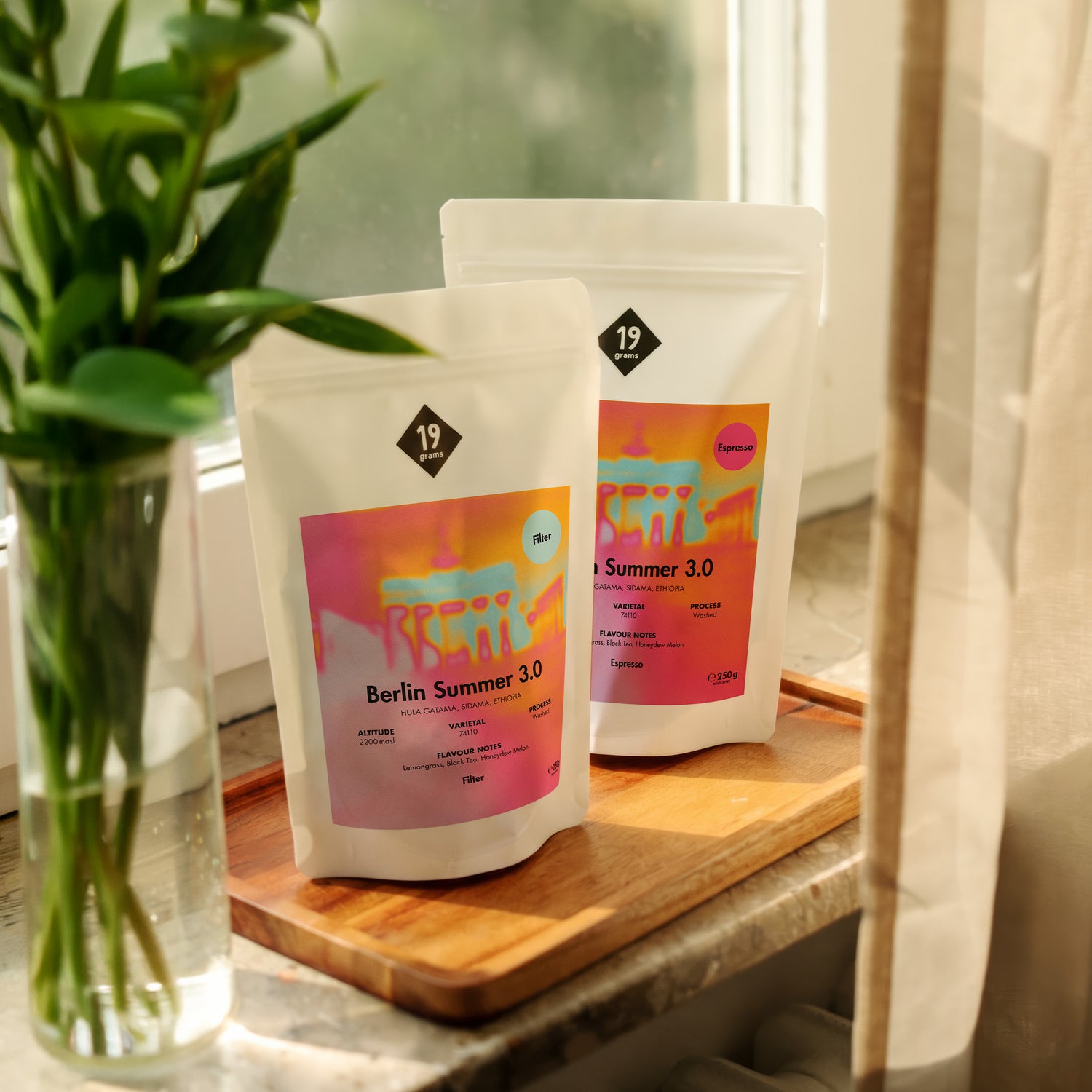 19grams Berlin Summer 3.0 Specialty Coffee Moodbild – Zwei Kaffeebeutel Espresso und Filter auf Holzbrett am Fenster mit Pflanze, Kaffeerösterei Berlin