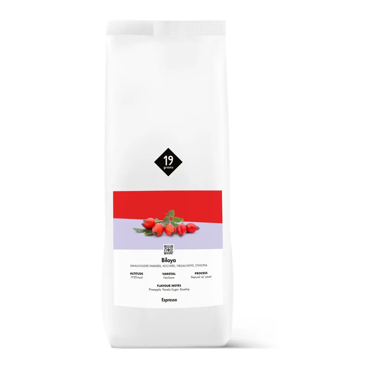 1Kg Äthiopischer Kaffee von Biloya von 19grams Berlin