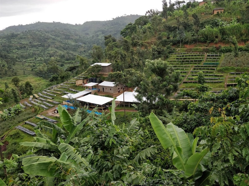 Bugoyi Verarbeitunsstation