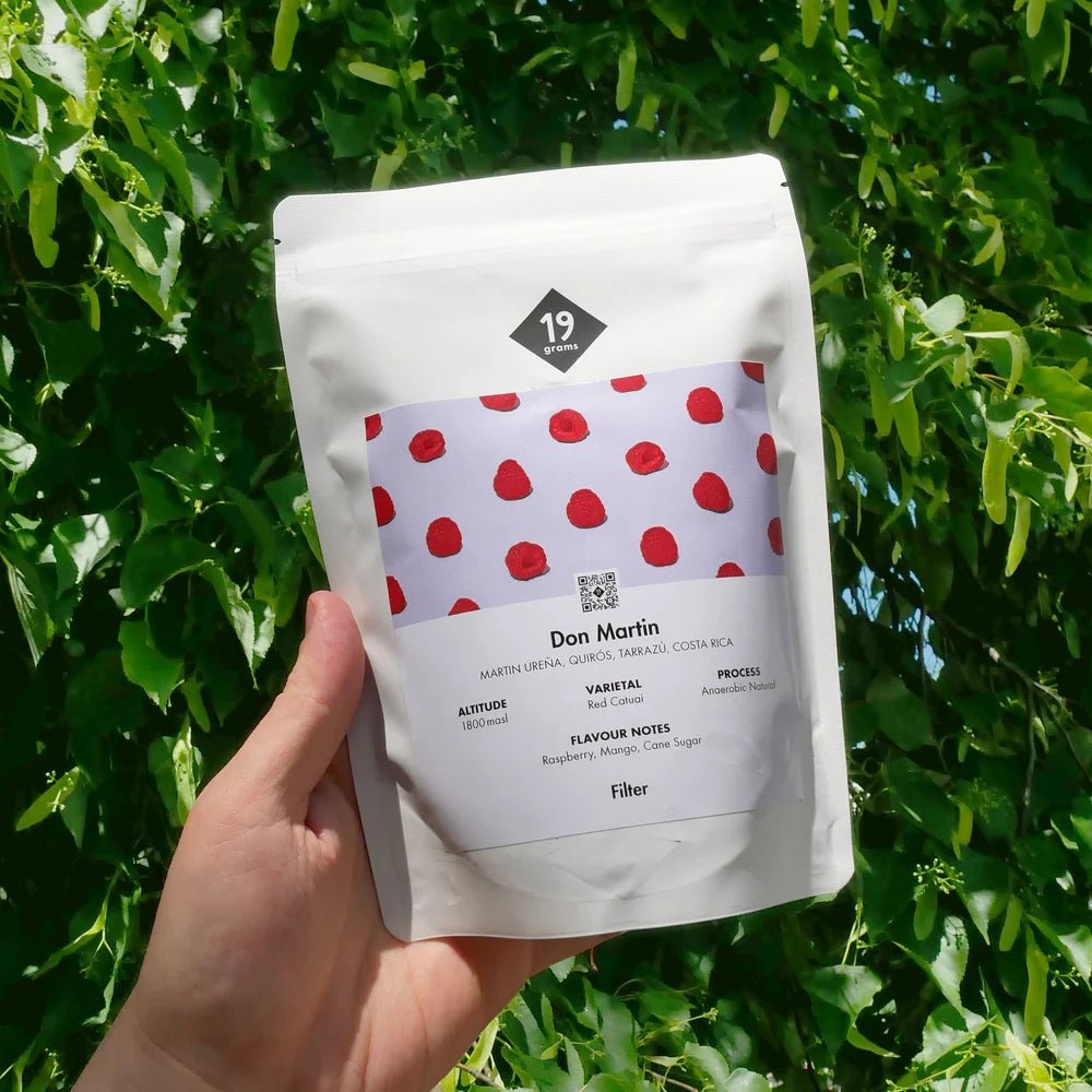 19grams Don Martin Filter Kaffee aus Costa Rica in 250g in der Hand präsentiert mit Busch im Hintergrund