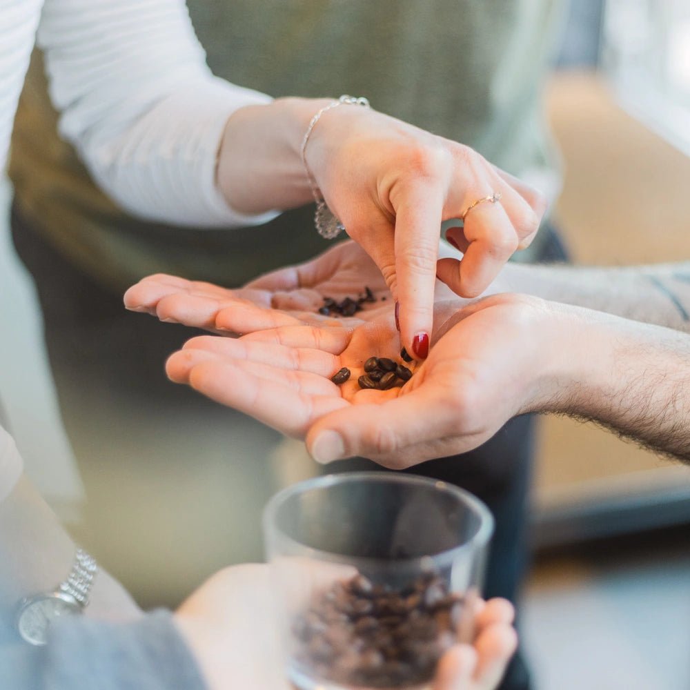 19grams Einführung in Speciality Coffee