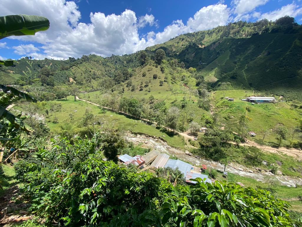 Kaffee Farm El Rincon mit Sicht zum Tal