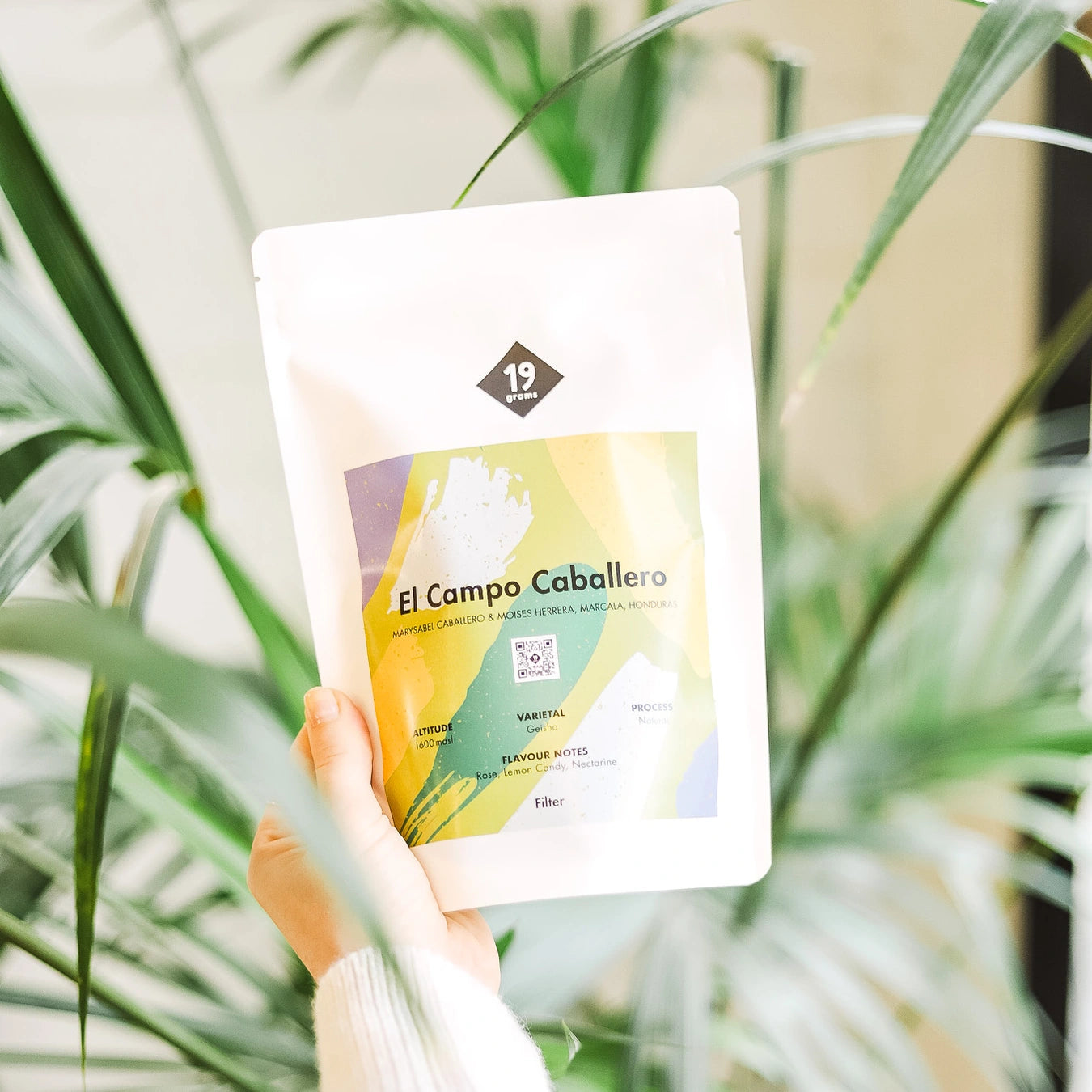 Der 19grams Filterkaffee "El Campo Caballero" wird von einer Hand präsentiert, im Hintergrund ist eine Zimmerpflanze zu sehen.