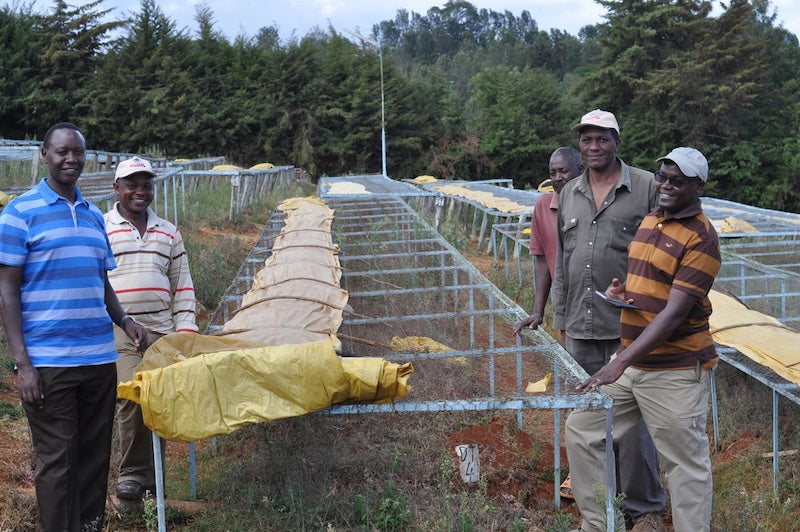 Gruppenfoto von den Kaffeebauern in Kenya