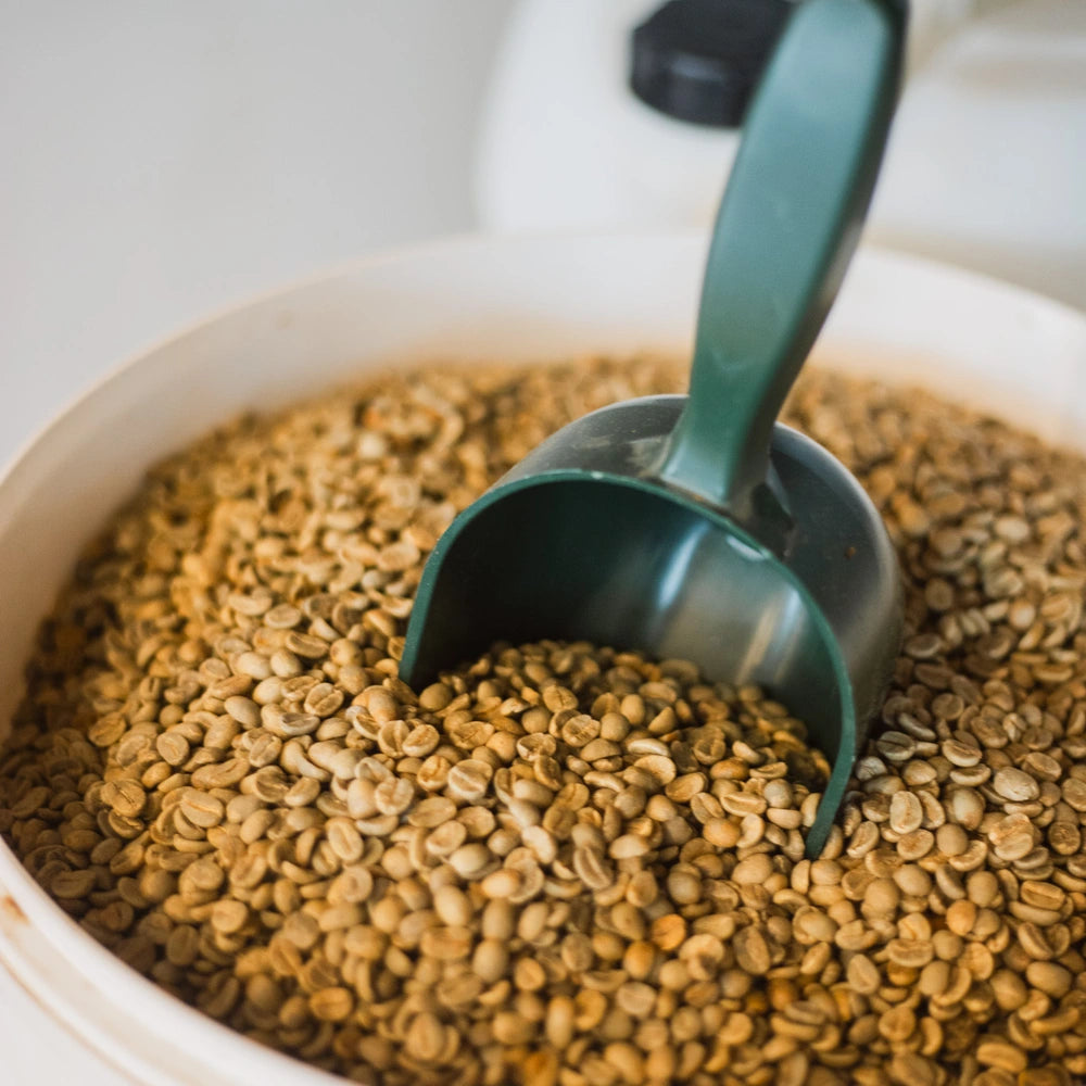 Rohkaffee im Eimer mit einer grünen Kelle