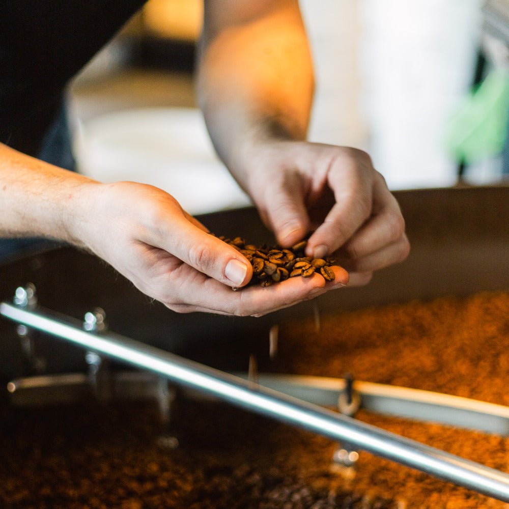 19grams Kaffee Rösterei