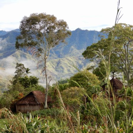 19grams Korofeigu Kaffee aus Papua Neu-Guinea