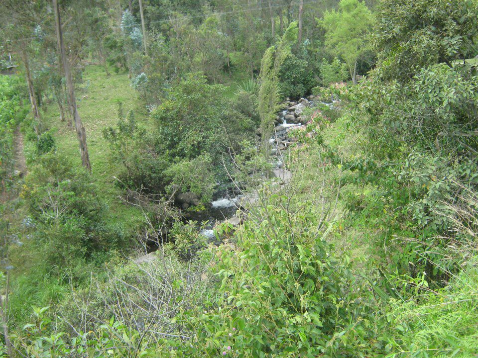 Landschaft La Florida