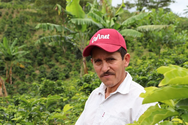 Kaffeefarmer in Luis Anibal auf der Kaffeefarm
