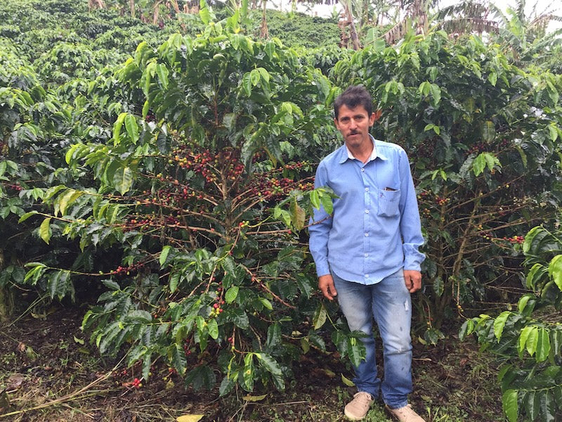 Kaffee Farmer Luis Anibal