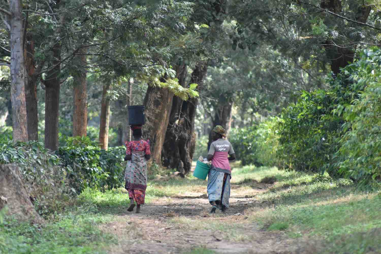 Lunji Farmer