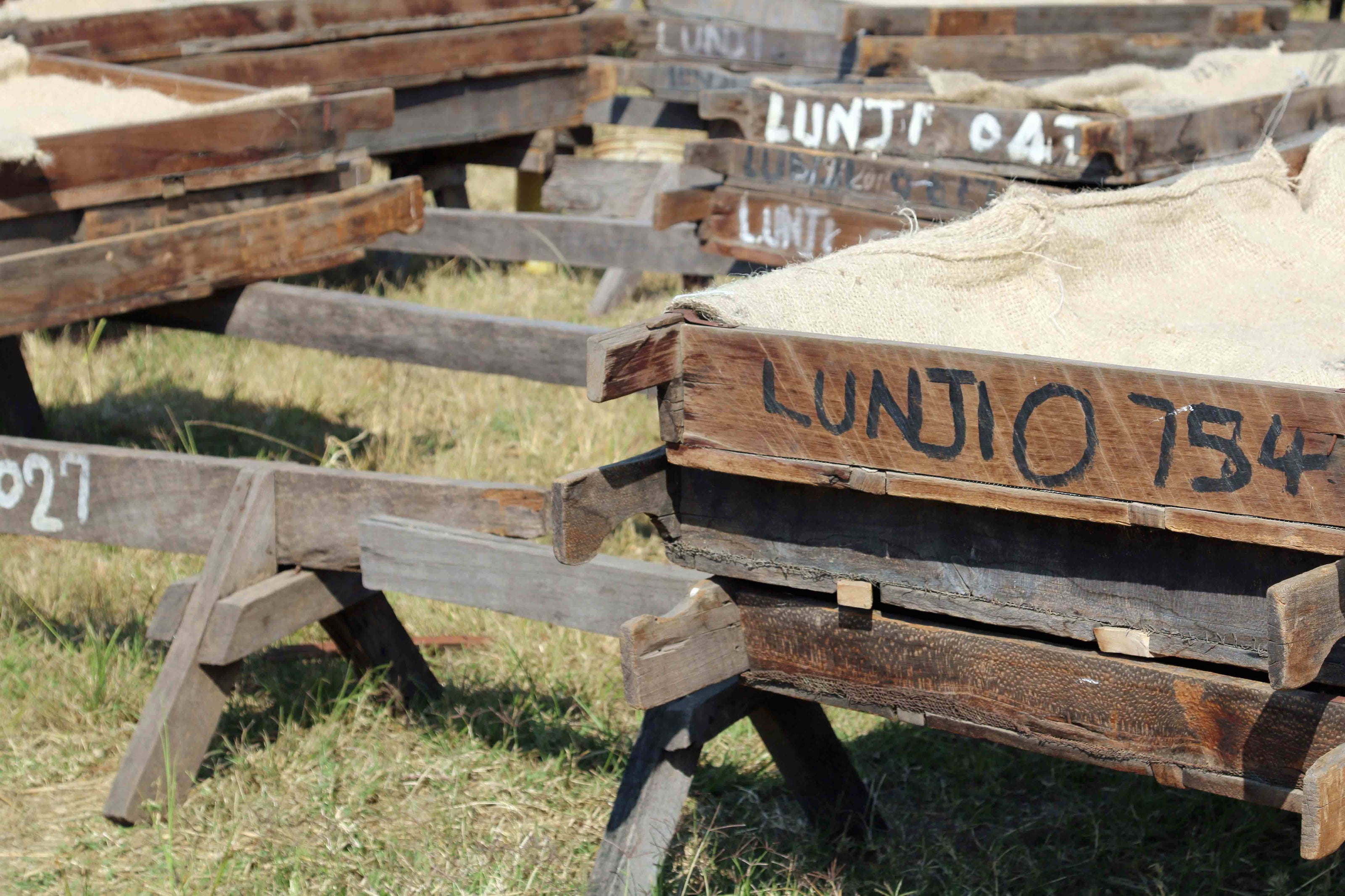 Lunji Drybeds