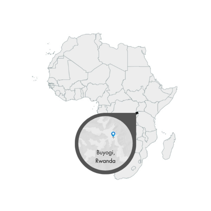Karte von Afrika auf dem die Farm Buyogi in Ruanda markiert ist