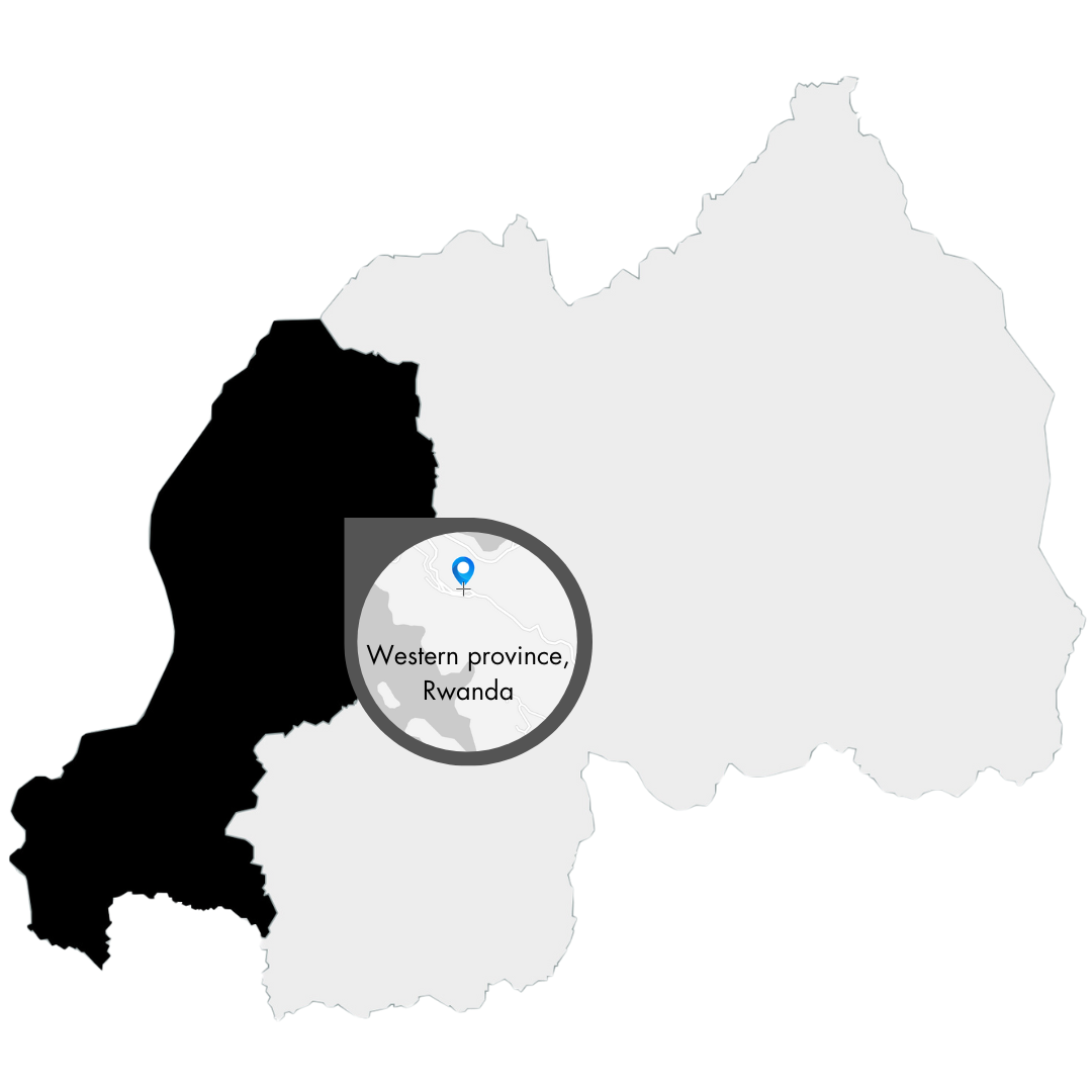 Karte mit der Herkunft des Ngororeos Kaffee in Afrika