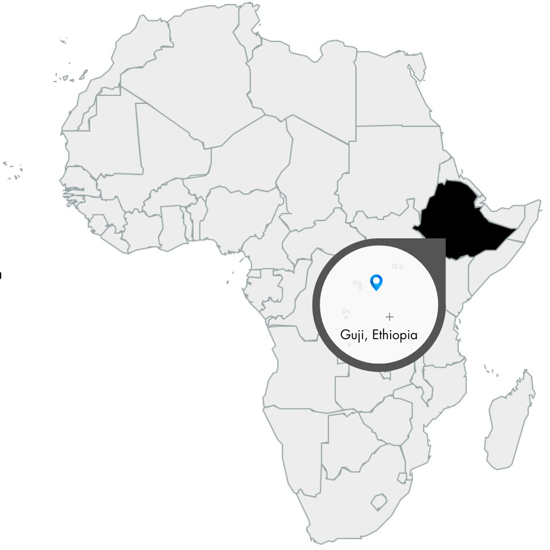Karte von Afrika mit dem Ort Guji aus Äthiopien