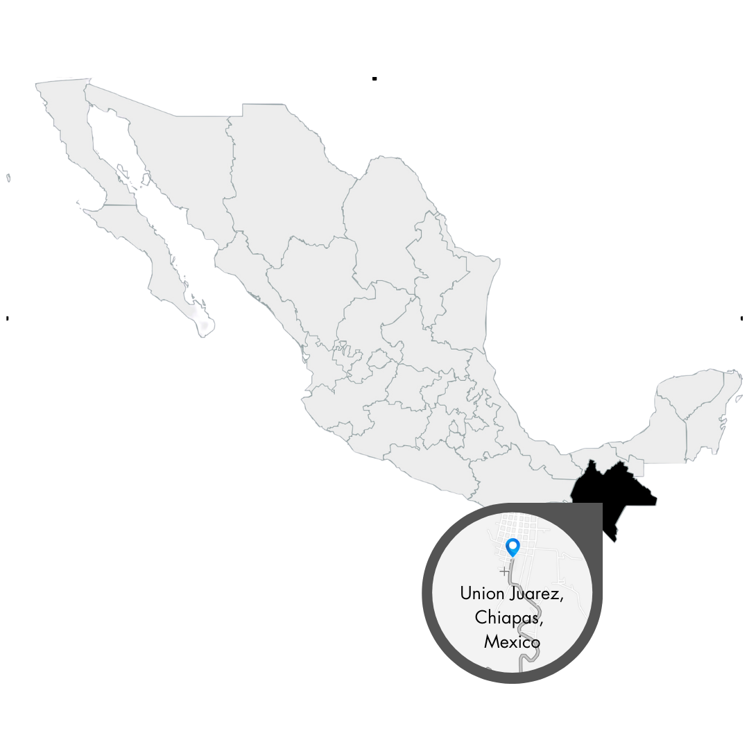 Karte von Mexico mit dem Ort Unio Juarez Chiapas