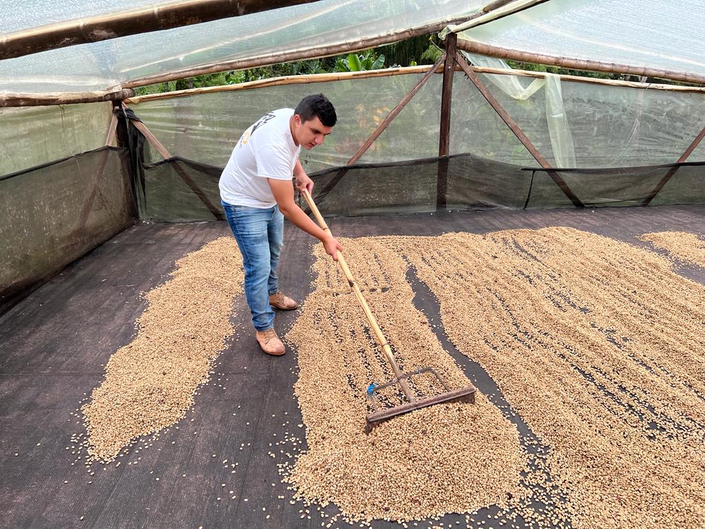 Kaffee Farmer am Kaffee verteilen