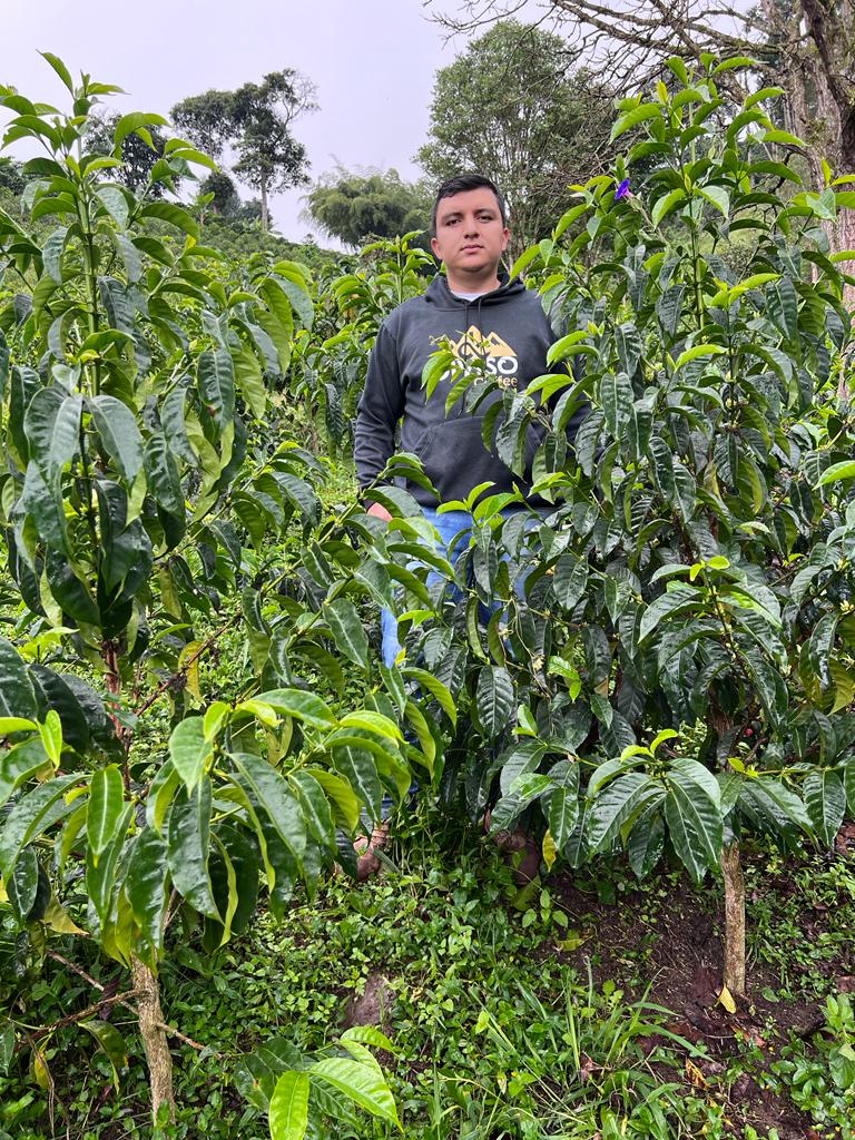 Kaffee Farmer zwischen den Kaffeepflanzen